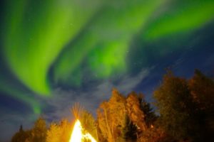 自分はカナダ移住できそうかビザから割り出してみよう！